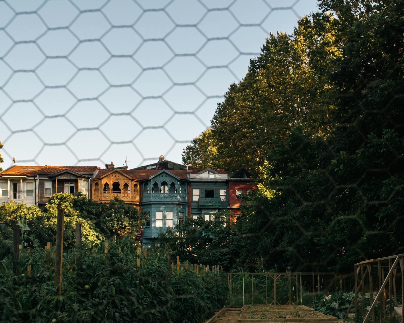 Charming colorful houses in the greenery of Istanbul through a metal fence.